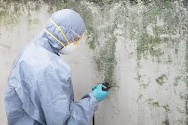 Best Crawl Space Mold Remediation in USA